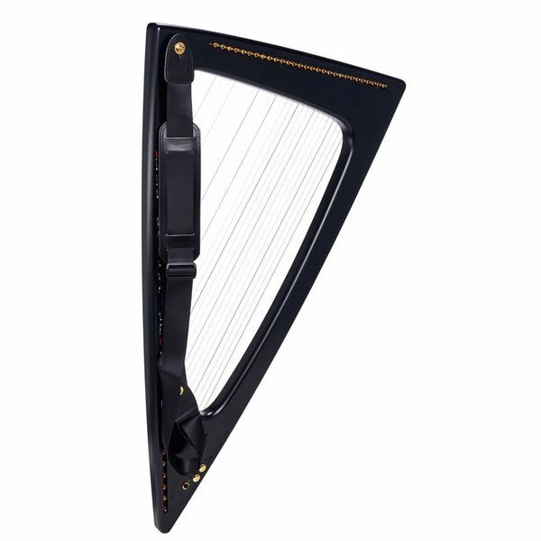 Salvi Delta Electric Harp