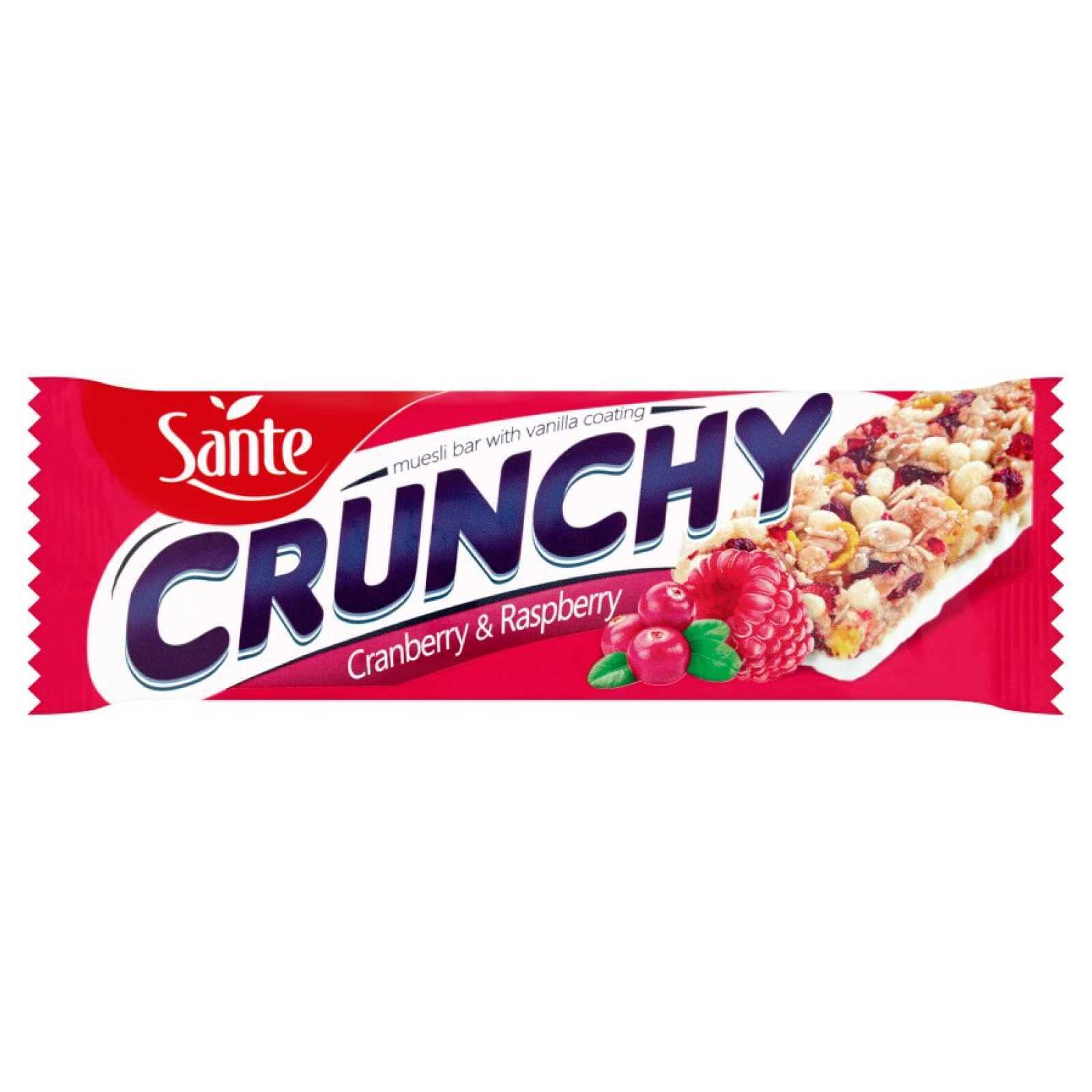 Barra crocante Sante 40g