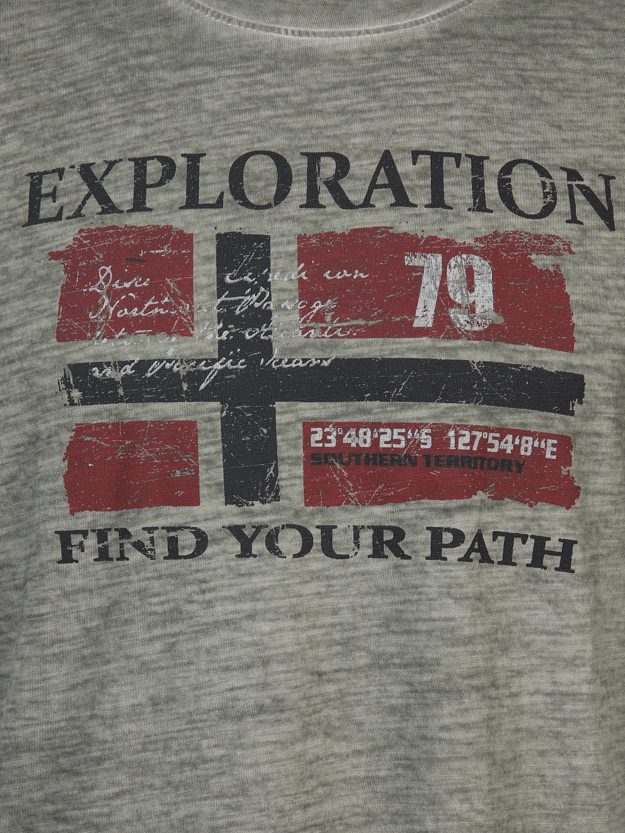 Herren T-Shirt mit Frontbild