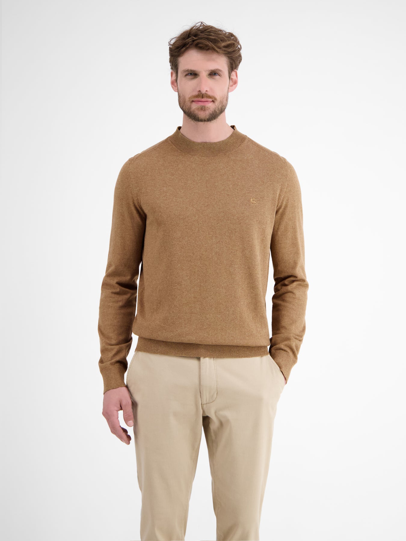 Herren-Pullover mit Turtle-Neck