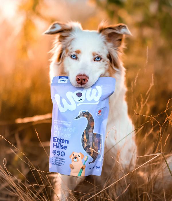 WOW® Hundesnack Natural Chews Entenhälse,