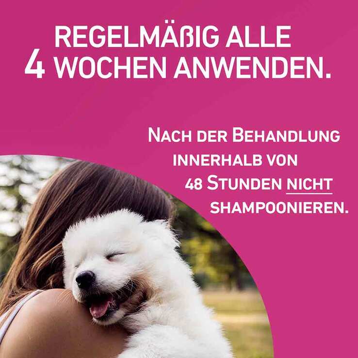 FRONTLINE TRI-ACT gegen Zecke, Floh und fliegende Insekten bei Hunden (2-5kg), 6 St