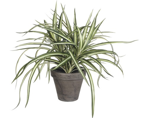 Kunstmatige Dracaena plant, groen