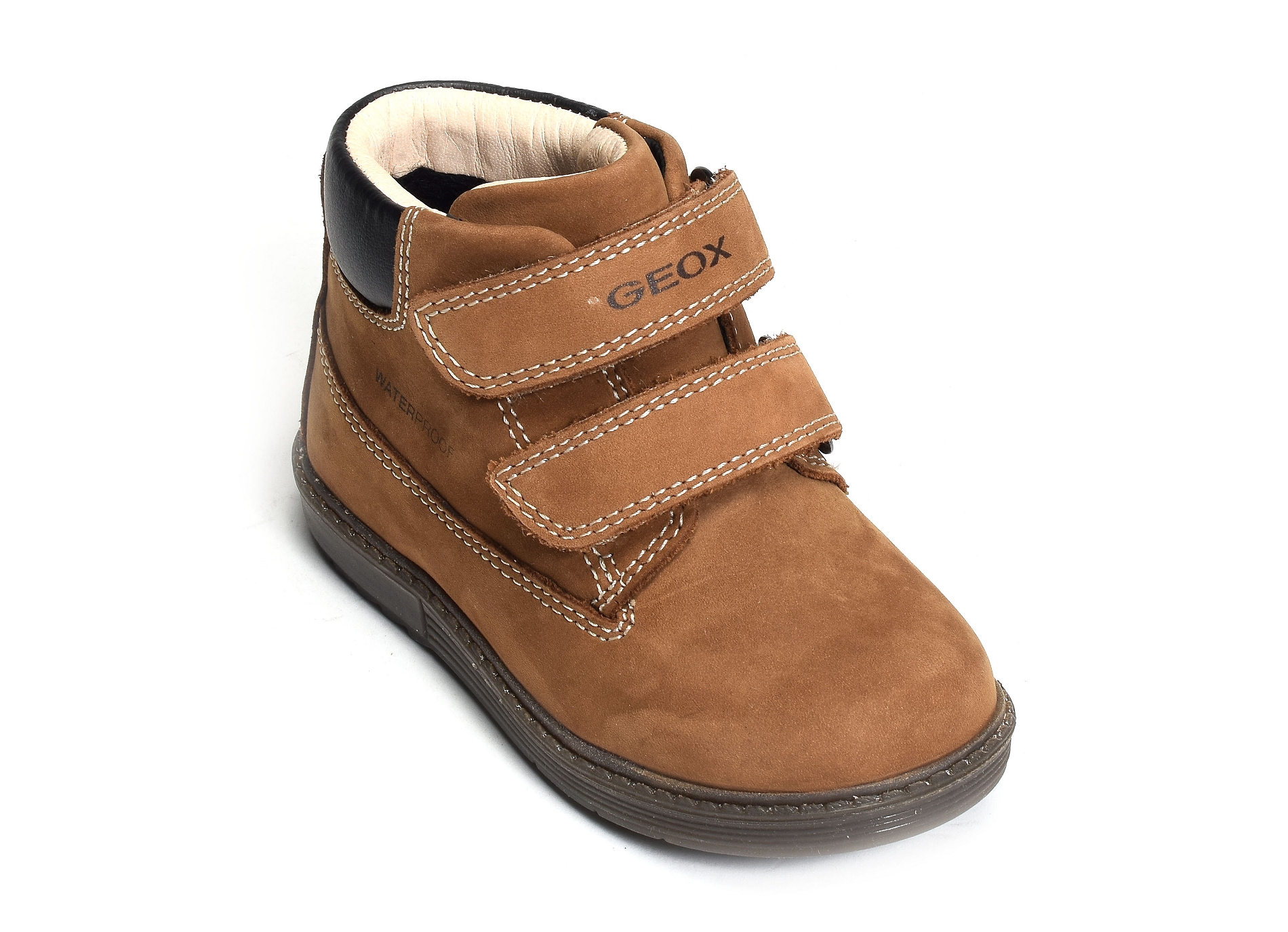 B hynde b camel