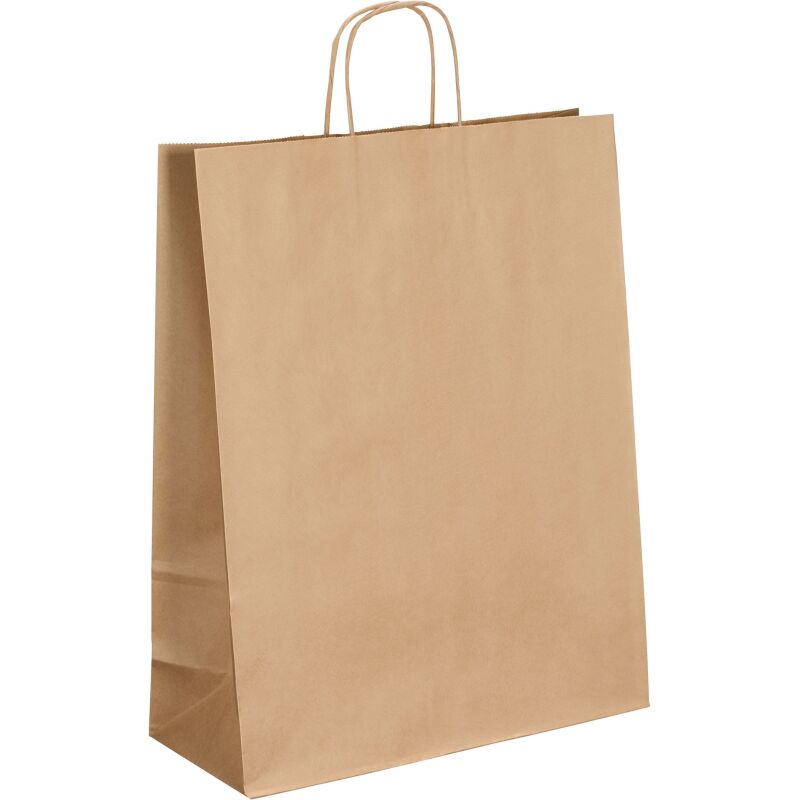 Sacs kraft brun poignées torsadées 110 g/m² - 50 sacs