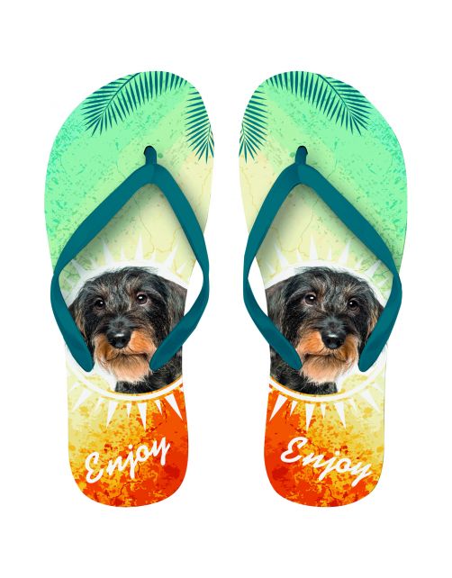 Plenty Gifts Flip Flops Dachshund - Cadeau - 29x22x2 cm Blauw Oranje 40-42