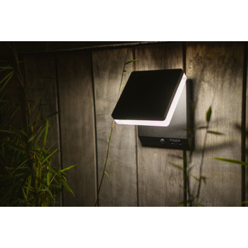Lutec buitenlamp Moze met dag/nacht en bewegingssensor zwart