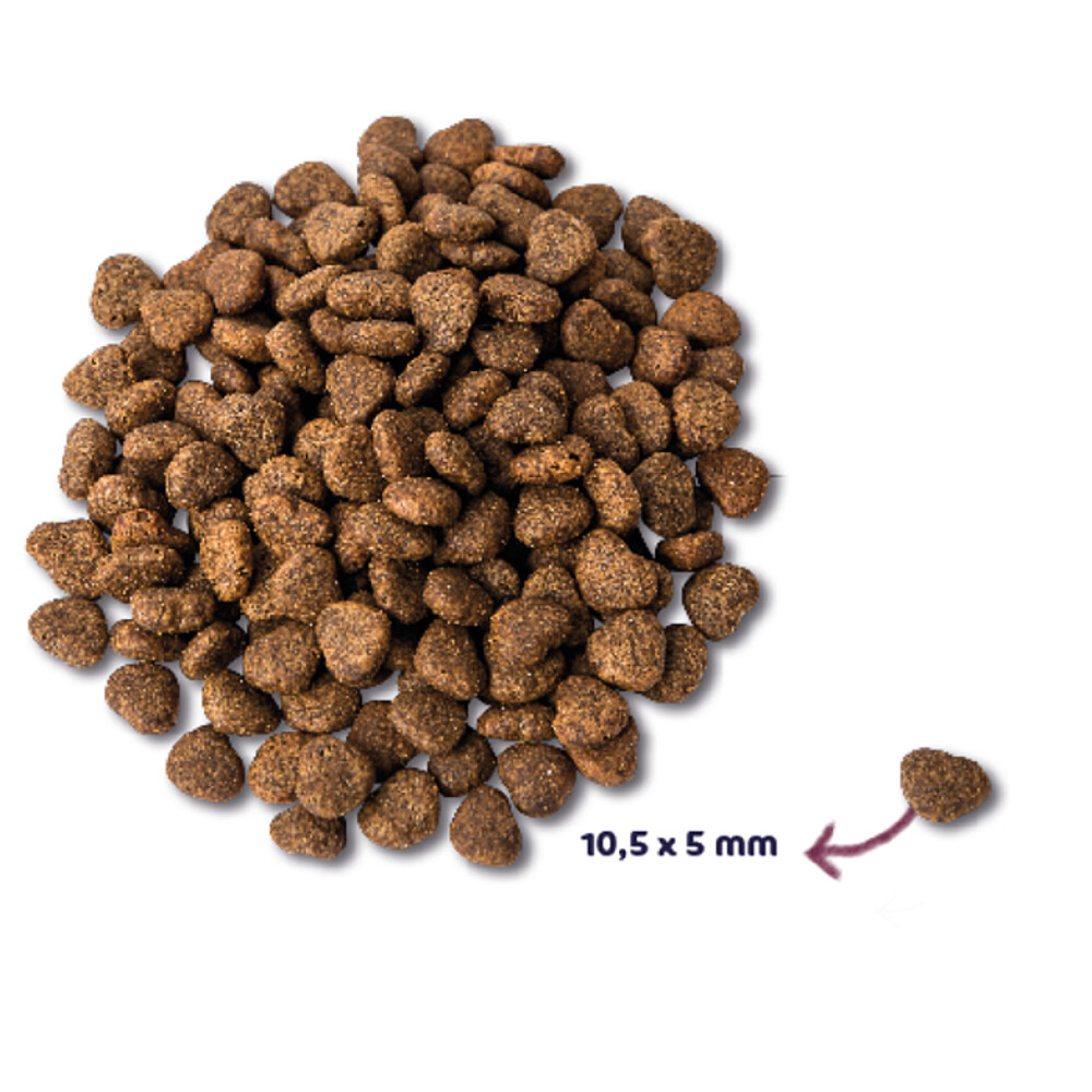 Renske Super Premium Kat Adult Kip1,5 kg