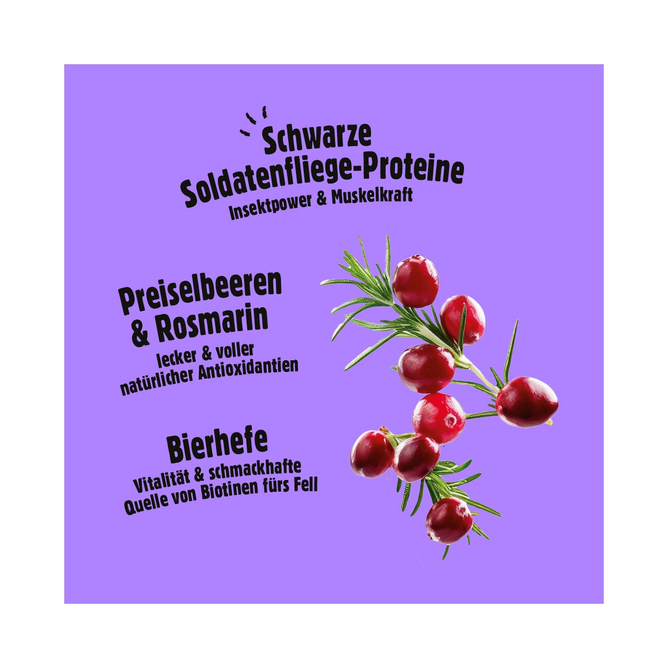 Fellows Kraftkerne Snack 125 g
