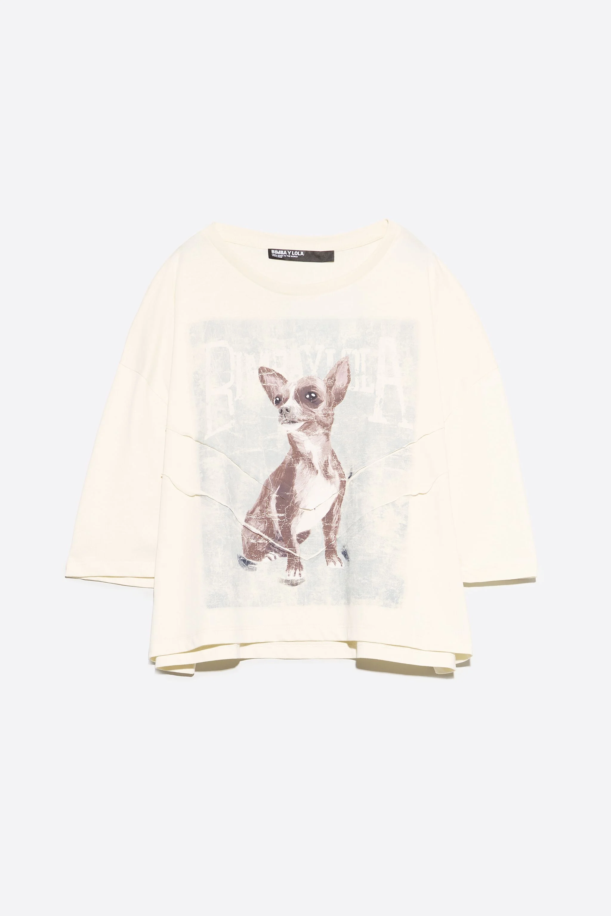Camiseta boxy com estampa de camelo e chihuahua