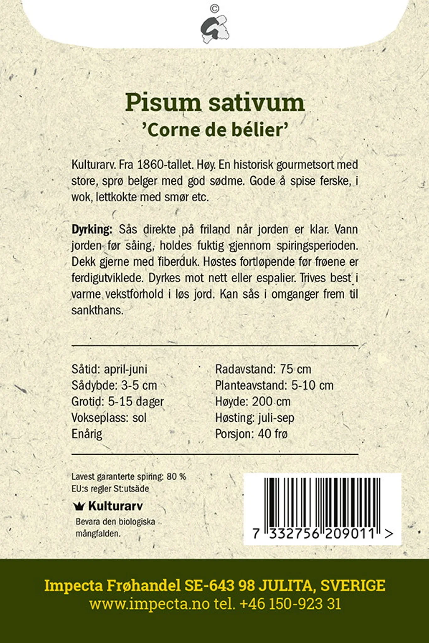 Pisum sativum 'Corne de bélier' Sukkerert 'Corne de bélier'