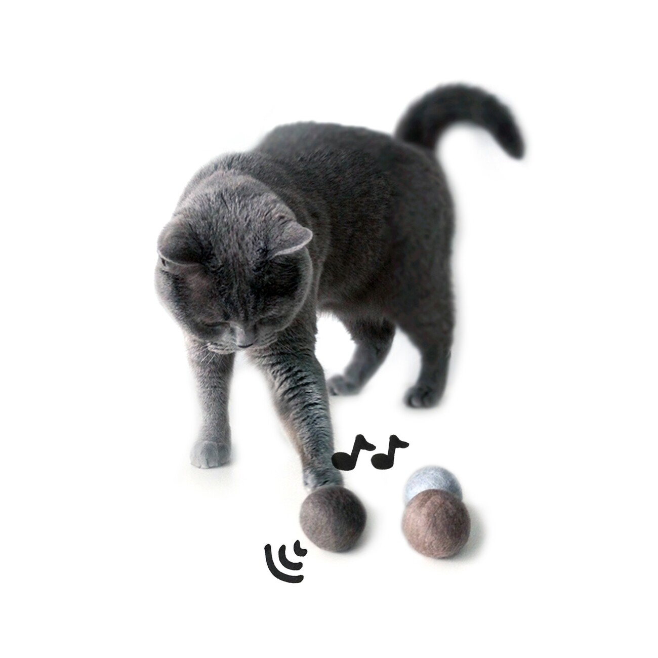 LucyBalu SOUND BALLS Katzen Filzbälle mit Glocke