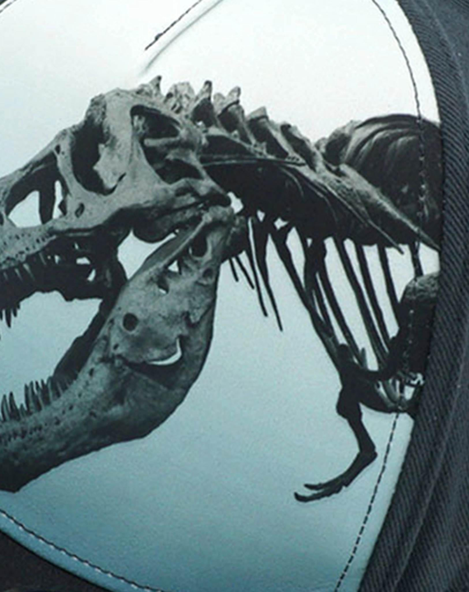Basecap T-REX SKELETON in anthrazit