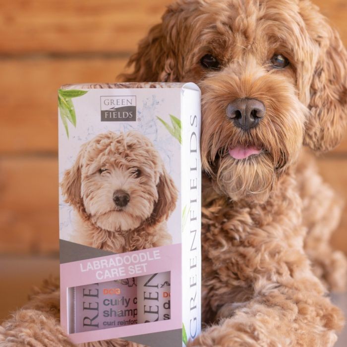 Greenfields - Labradoodle Care Sæt 2x250ml