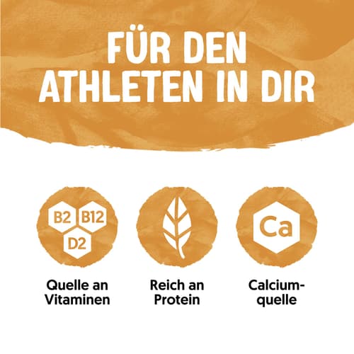 Alpro Pudding Soja Caramel High Protein