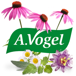 A.Vogel Cinuforce Inhalatiedruppels   Menthol 10ML