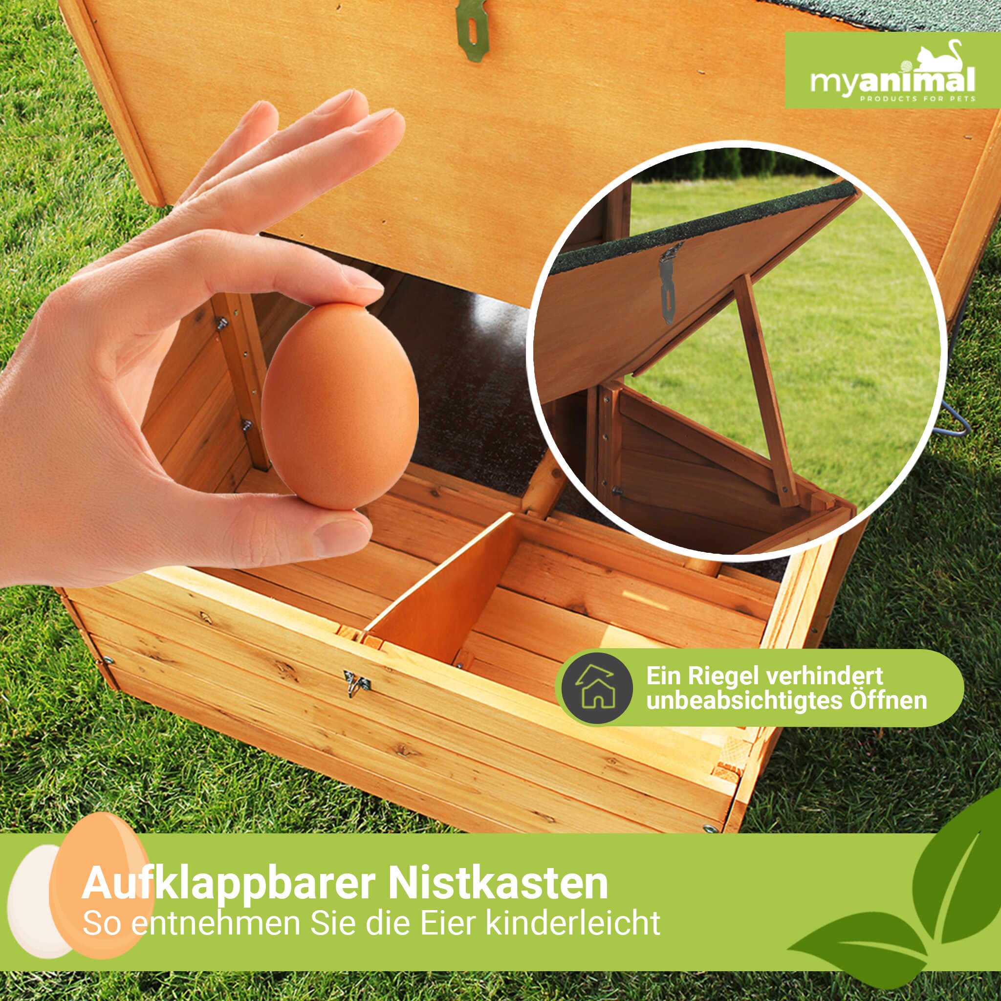 MyAnimal Hühnerstall für 4 Hühner MH-04 mit Eiablage, wasserabweisendes Dach, schutzimprägniert (Grau)