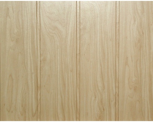 Decoratief paneel appel 10x150x2600 mm