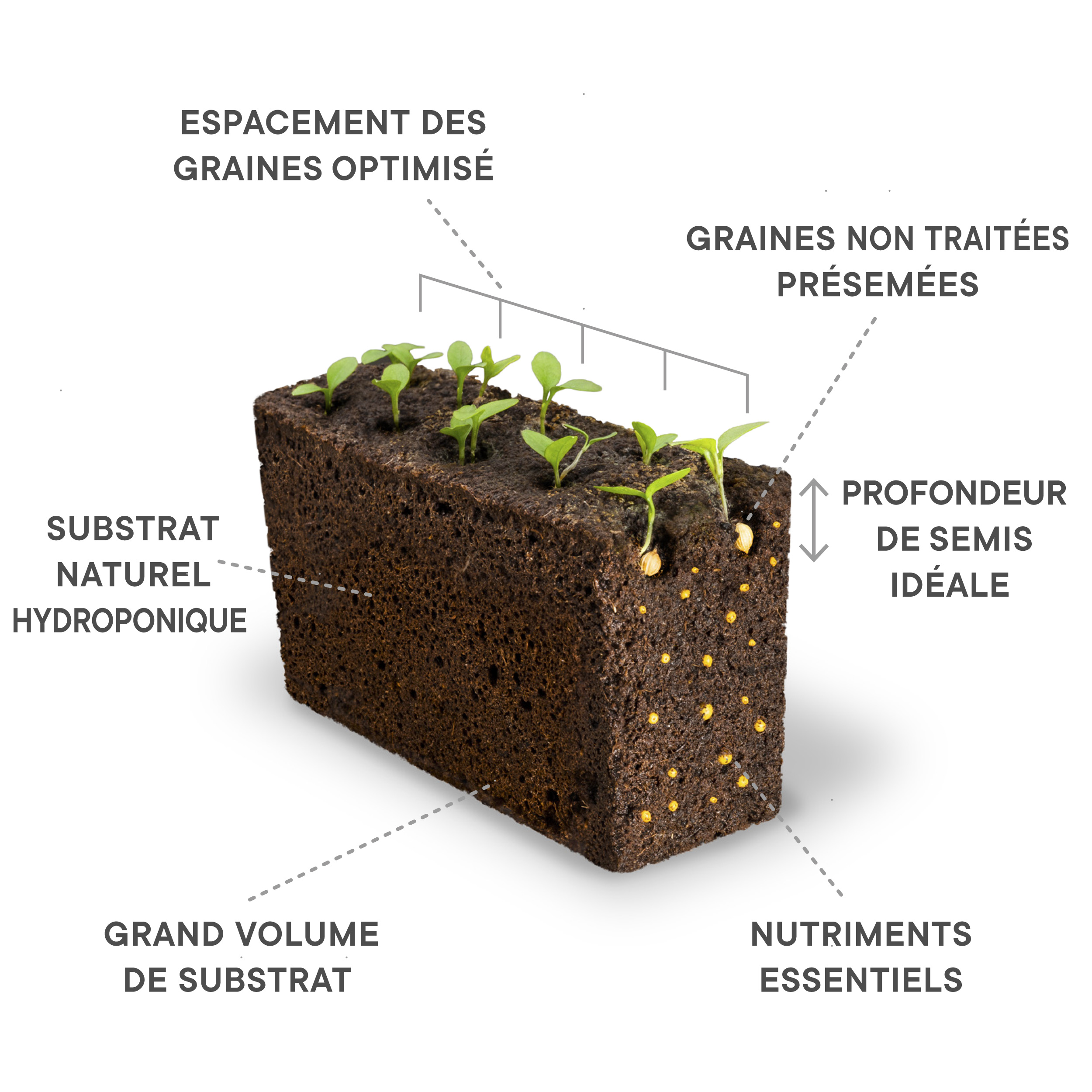 Lingot® pensées multicolores - recharge prête à l'emploi