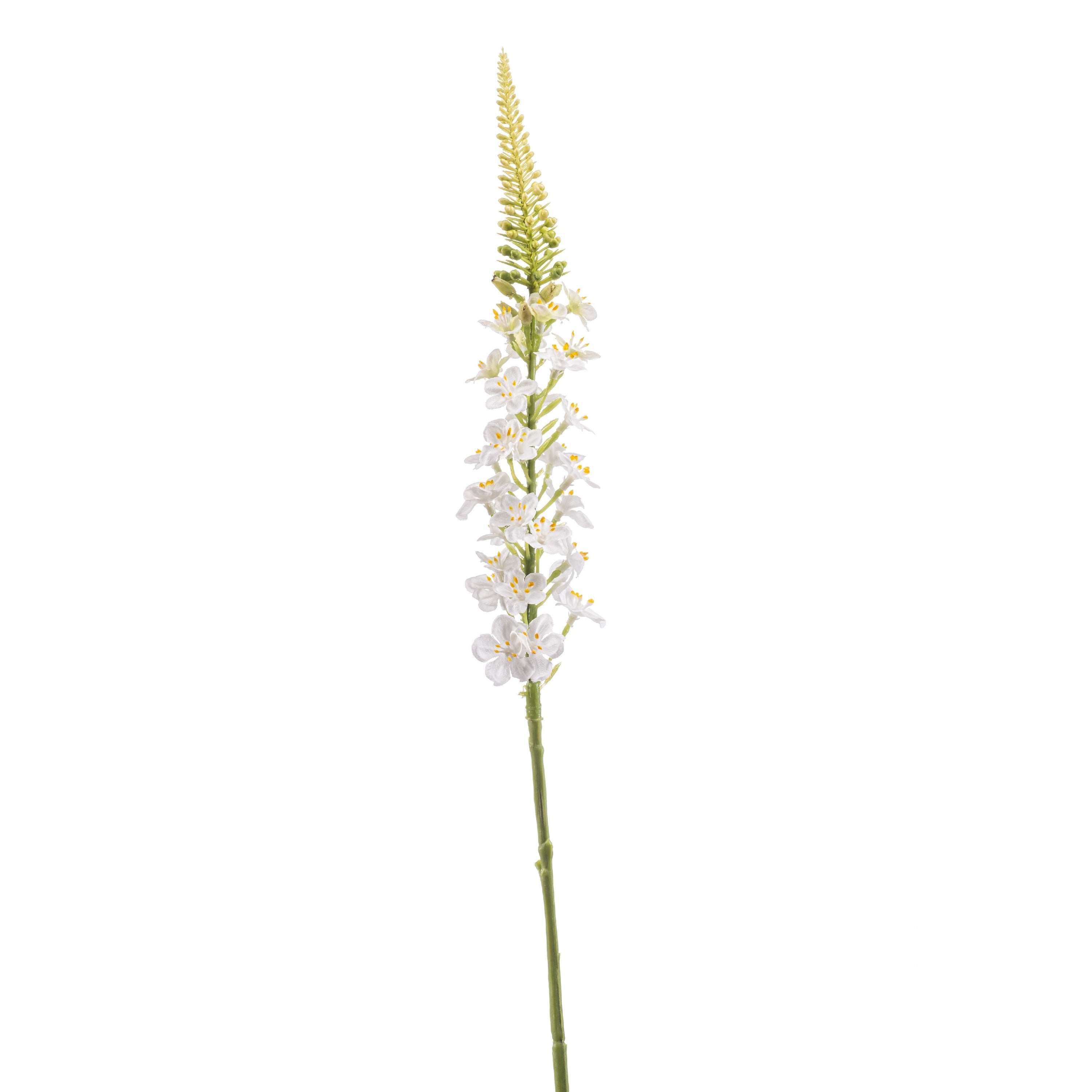 Fleurdirect Kunstbloem Lysimachia - Wit|Creme -  - 0x66x0cm (BxHxD)