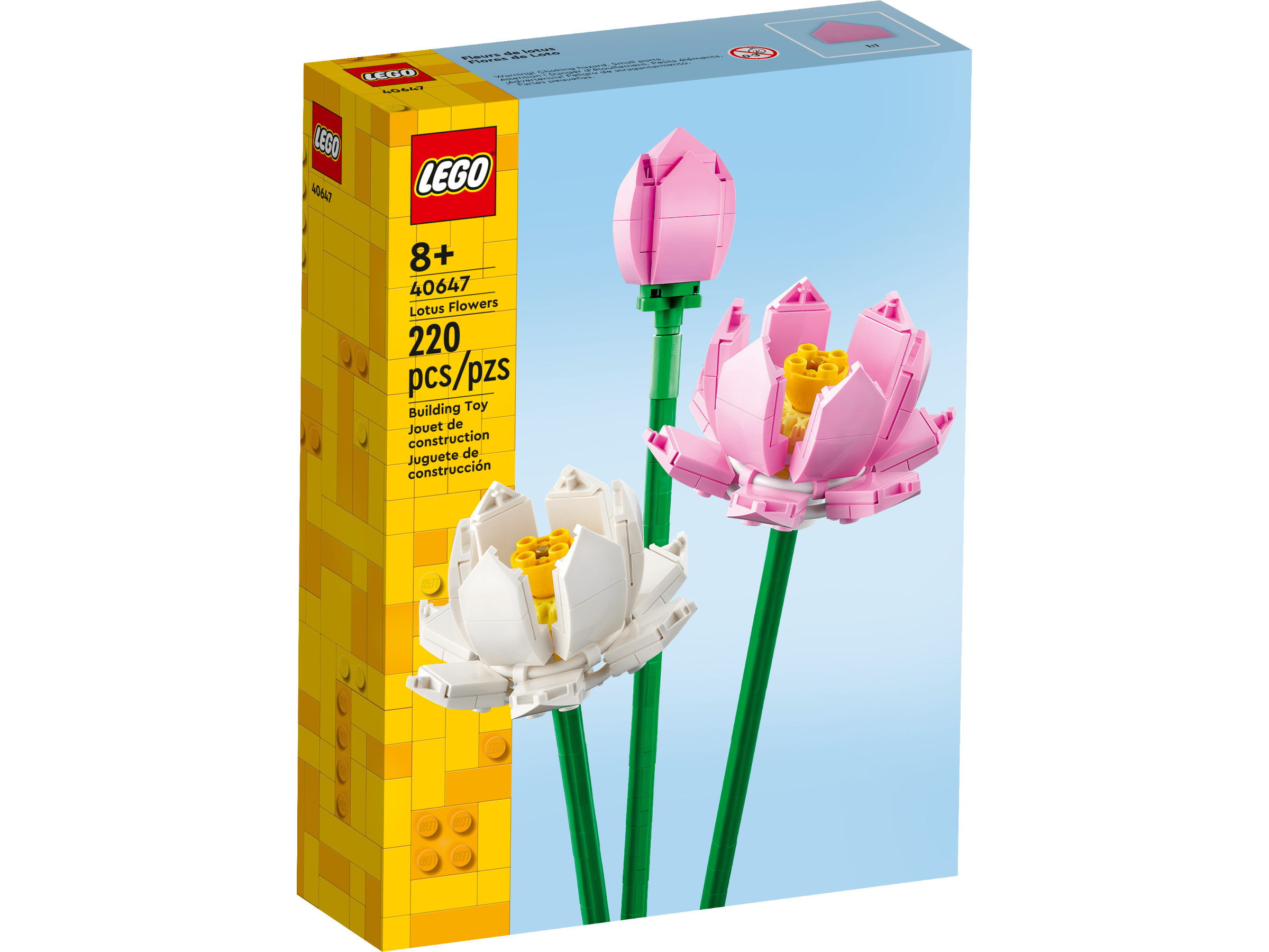 Flores de lótus 40647