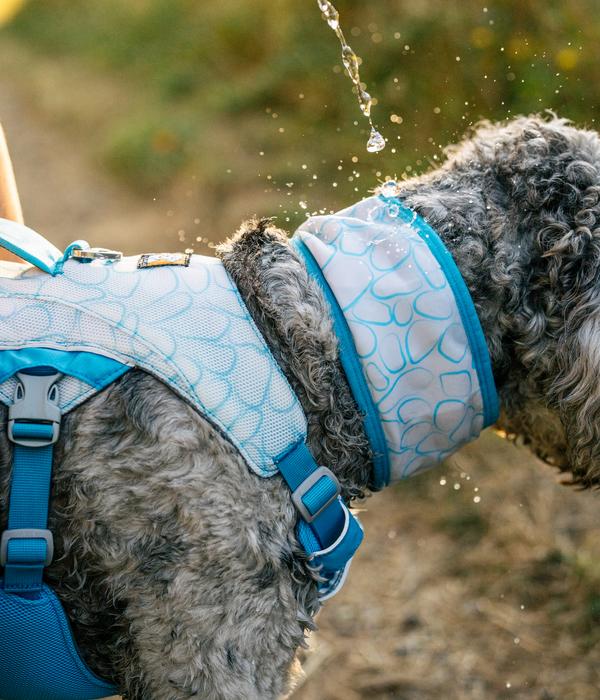 RUFFWEAR® kühlendes Hundehalstuch Swamp