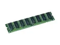 CoreParts - SDRAM - modul - 256 MB - 100 MHz / PC100