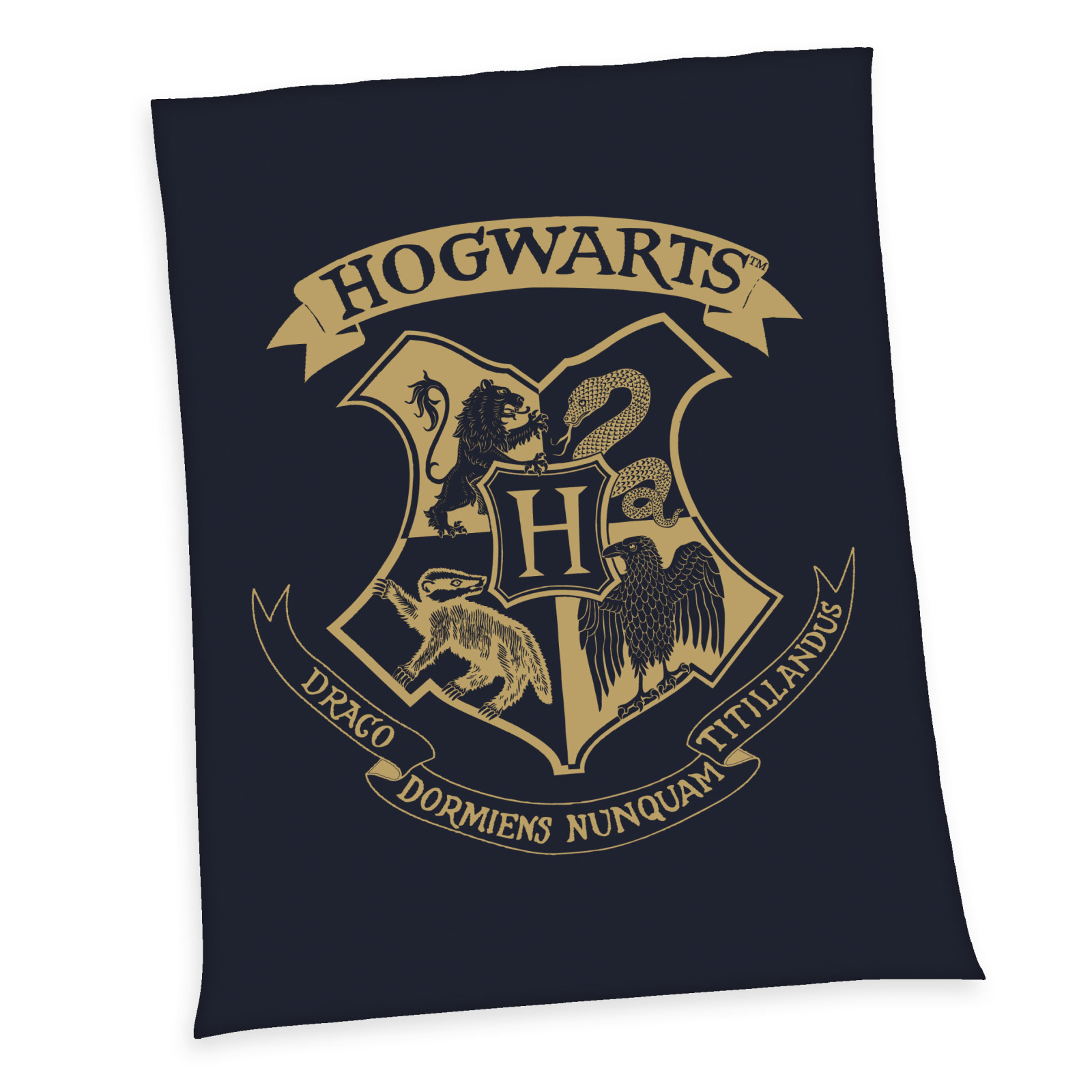 Wellsoft-Flauschdecke HARRY POTTER - blau - 150x200 cm