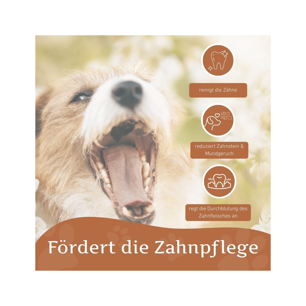 Wildfang Naturkautschuk Kauring - Kauring 
