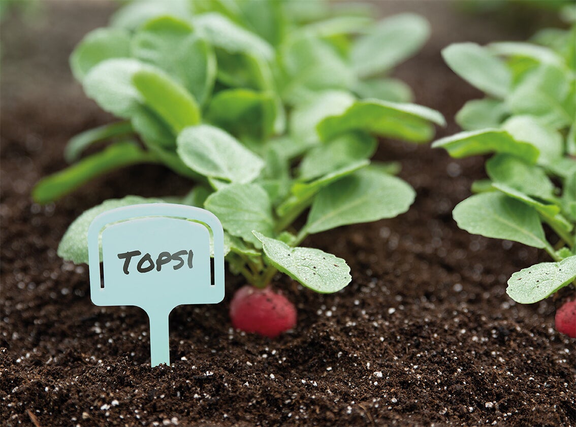 Sogo plantenlabel 12,5 cm 10 stuks
