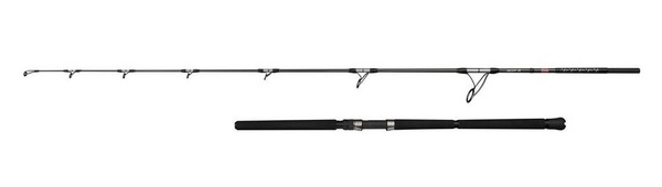 Canne Spinning Penn Ally II Lancer Offshore Mer