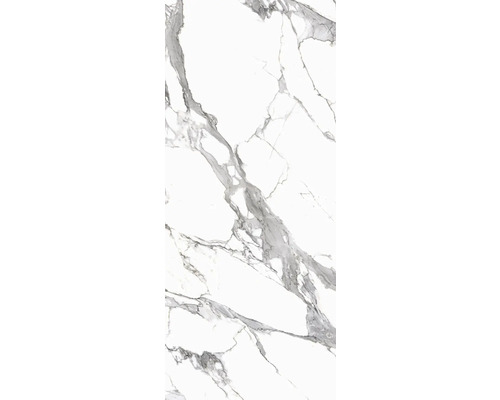 Porseleinen steengoed wand- en vloertegel Calacatta 279,7 x 119,7 x 0,6 cm wit mat gerectificeerd