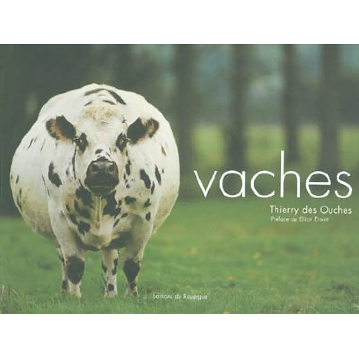 Vaches · Occasion