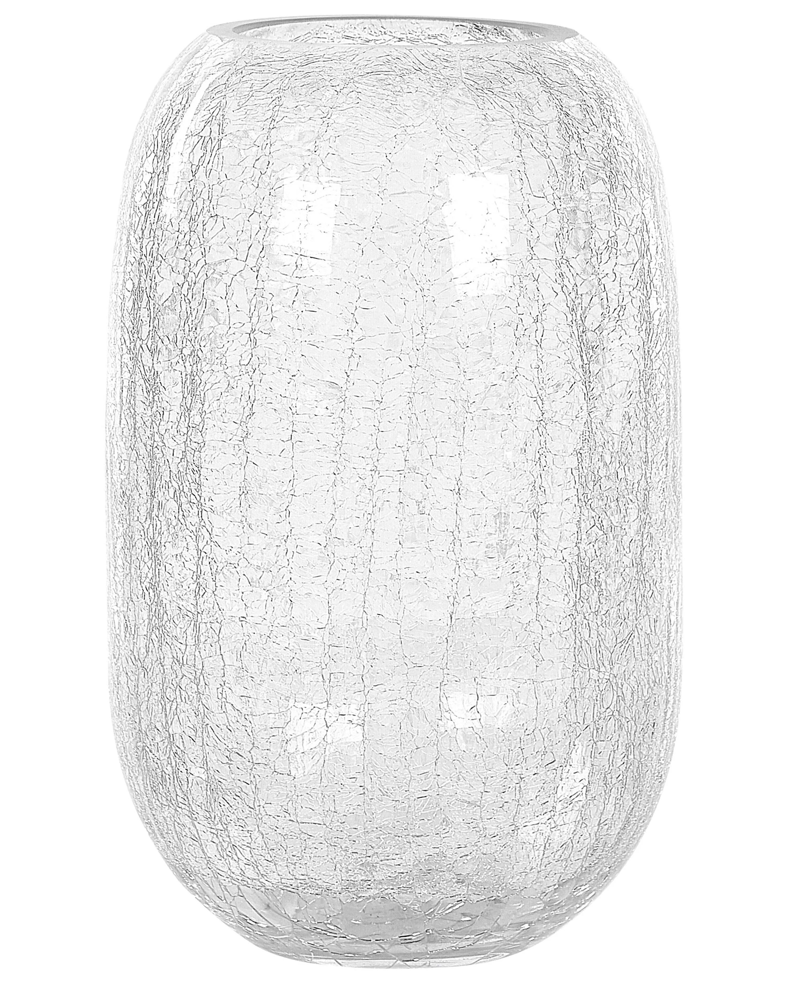 Bloemenvaas KYRAKALI Glas 28 cm Transparant