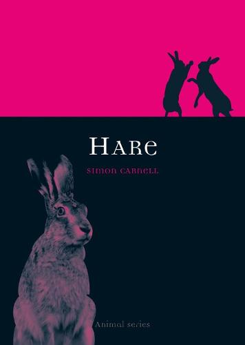 Hare - Animal Series (Paperback)