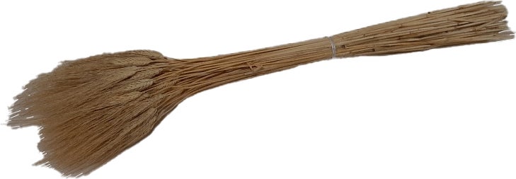 Droogbloemen Tarwe (Triticum) geel H 80 cm