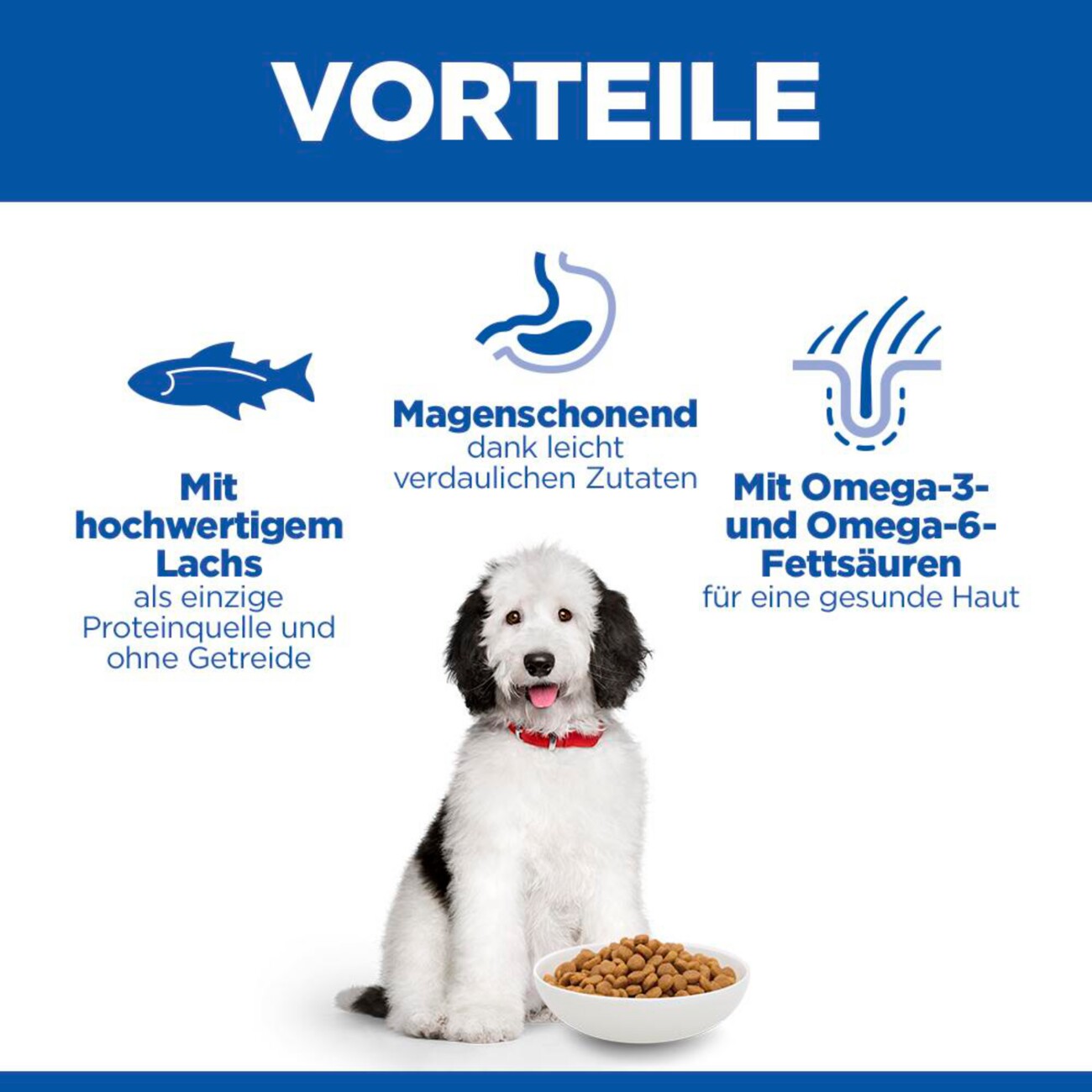Hill's Science Plan Trockenfutter Hund Adult, Large Breed, Hypoallergenic, mit Lachs 14 kg