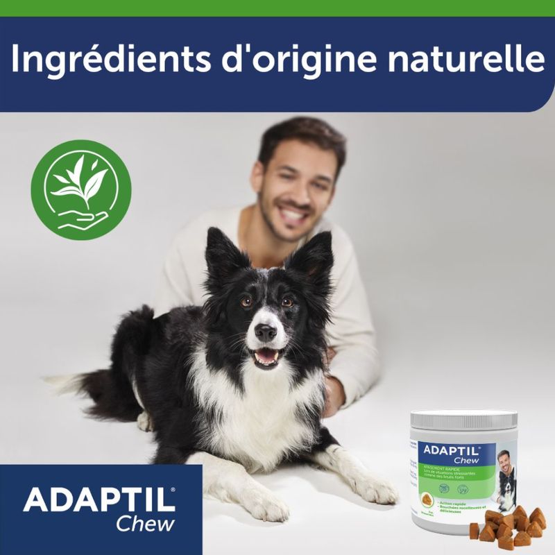 ADAPTIL Chew