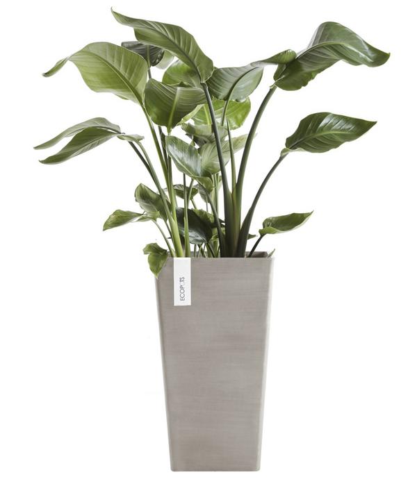 Ecopots Kunststoff-Topf Rotterdam Hoch,