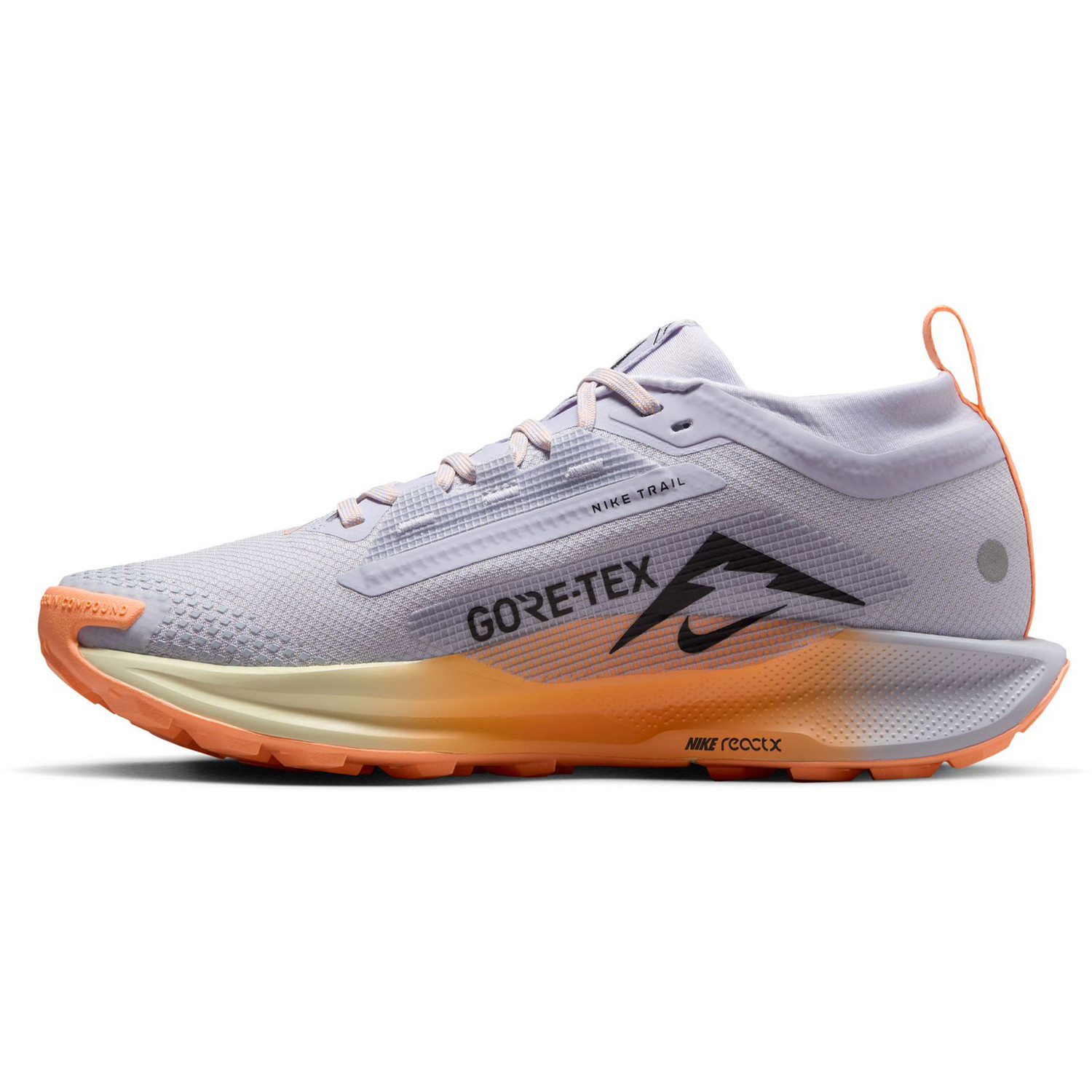 Nike Pegasus Trail 5 GTX Dames