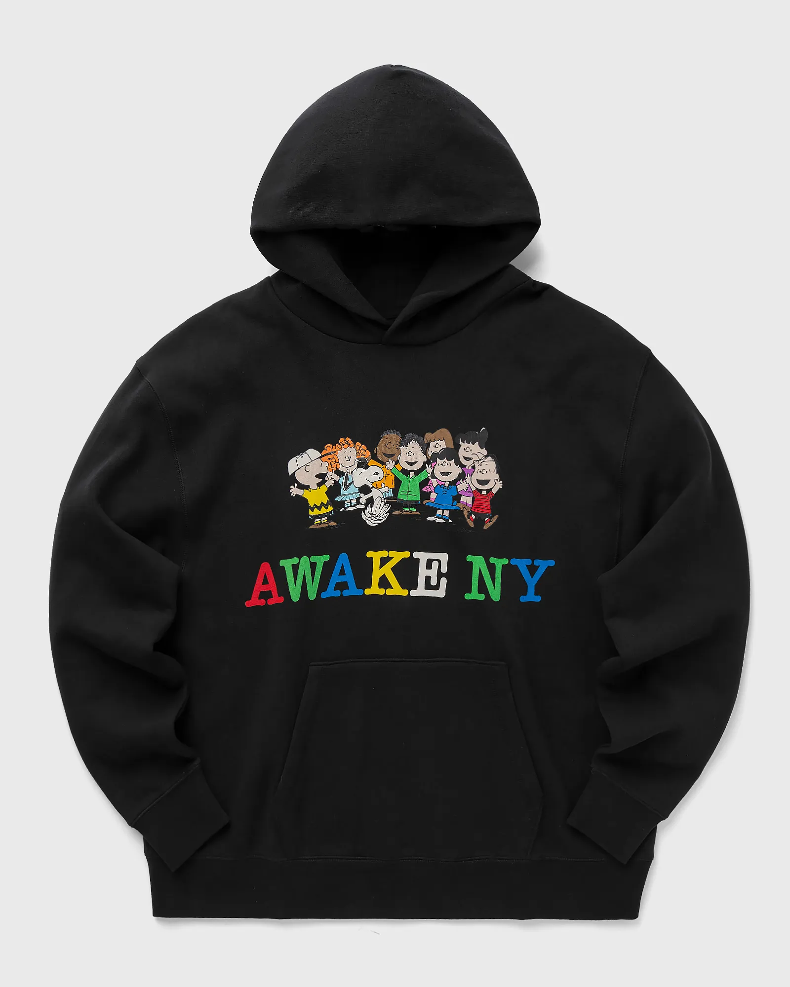 Awake NY X PEANUTS PRINTED HOODIE
