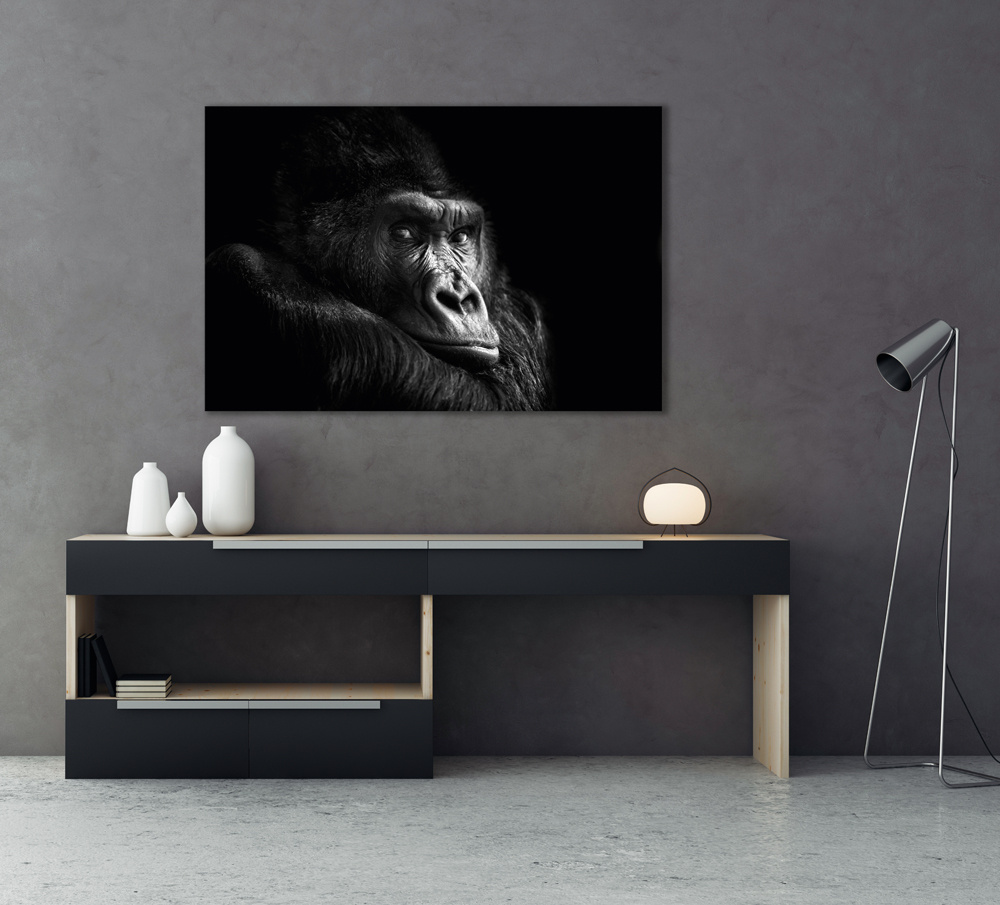 Akustikbild GORILLA 80x120cm, 7kg