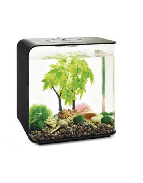 Biorb Decor Set Zomer - Aquarium - Ornament - 30 l Groen Lichtroze Beige