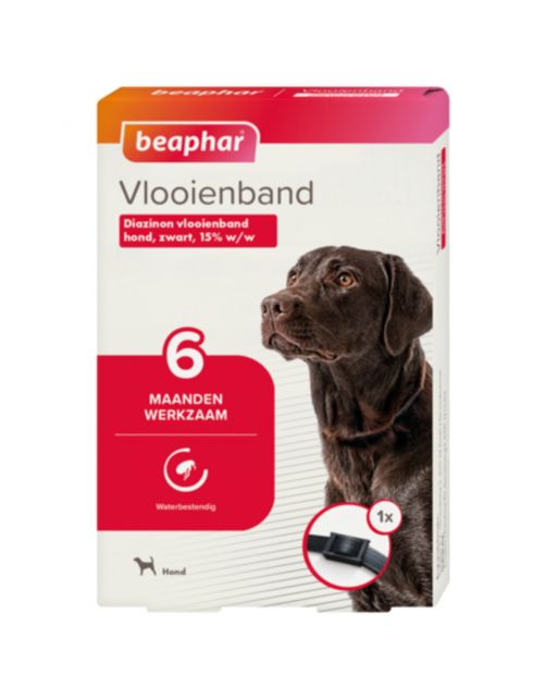Beaphar Vlooienband 6 Mnd Hond 65 cm - Anti vlooienmiddel