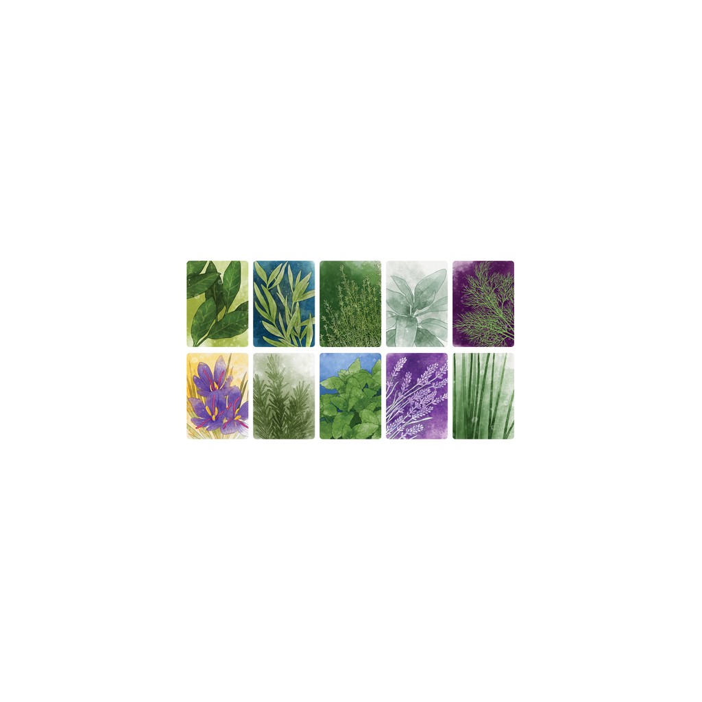 Herbaceous