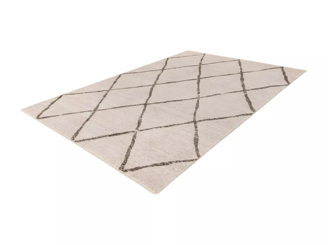 Tapis 290x200cm, design A105R coloris beige - Confort et élégance pour votre intérieur