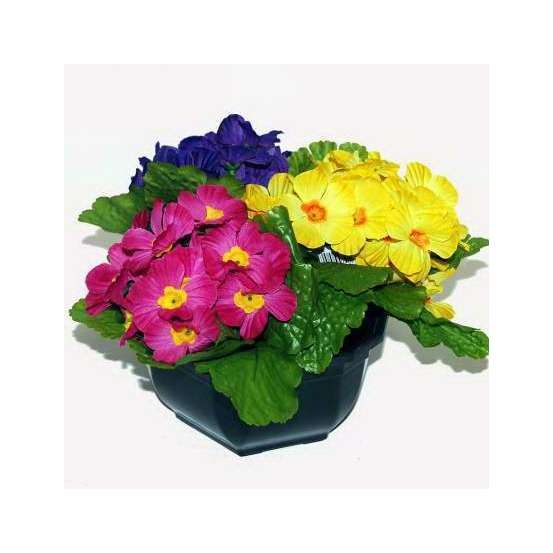 Coupe de primeveres en couleurs assorties, H20CM - L24Cm, 2,5Kg