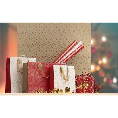Clairefontaine Excellia Christmas - Papier cadeau - 70 cm x 2 m - pomme d'amour - différents modèles disponible