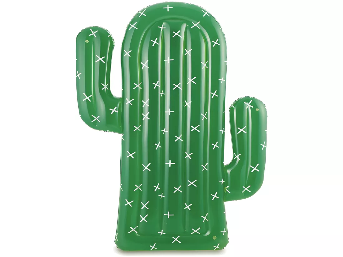 Cactus gonflable 