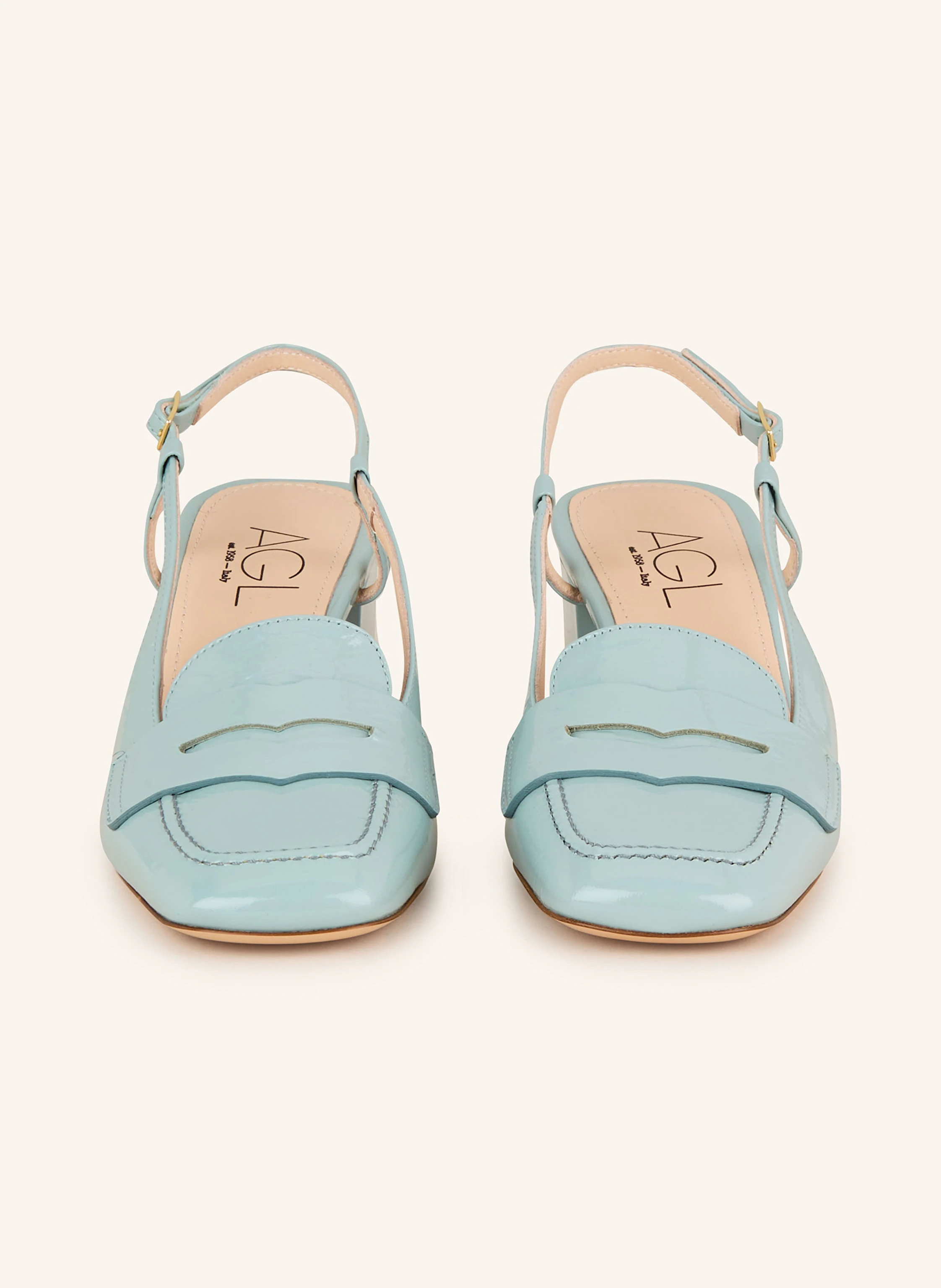 AGL Lack-Slingpumps